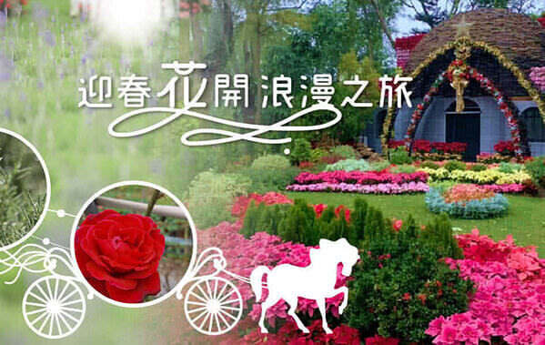 熱門成功案例精選，粉絲專頁按讚數提升一倍，粉絲專頁互動人數增長二倍，點閱率穩定上升，CPC持續下降，且大量導入人流至官網。營造鮮明粉絲團小編角色，成功打造高粉絲黏著度。各服務據點來客數量明顯提升，廣告穩定帶來線上訂單數與部分線下購買數。